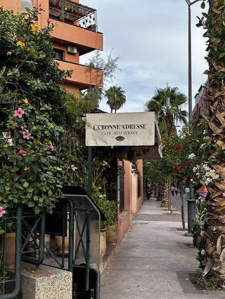 The Garden Loved by Saint Laurent, Majorelle Garden