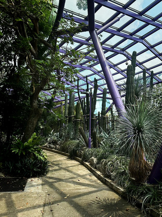 新加坡仙人掌花園:獨特唯美打卡熱點 。