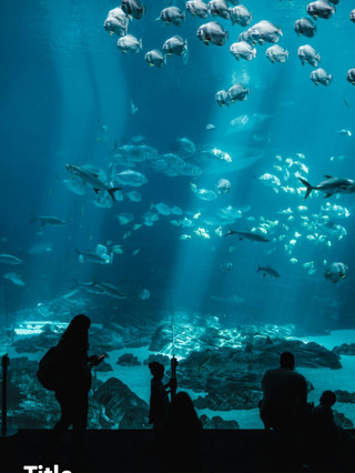 The Majestic Whale Shark Experience at Cebu Ocean Park 🐋🌊
