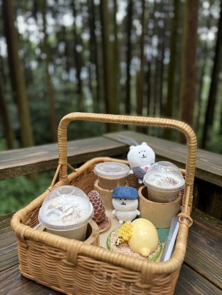 北九州日帰りプチ旅行プラン！今回は博多を出発し、糸島、佐伯市、桐廬県など複数の癒やし系自然スポットを巡ります——白糸の滝で心を洗いましょう。