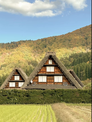 大家都說白川鄉的冬天很美，
