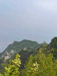 🌲 Yunmeng Mountain Royal Forest Park | A Breath of Nature