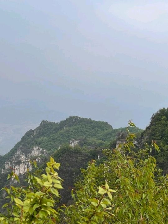 🌲 Yunmeng Mountain Royal Forest Park | A Breath of Nature