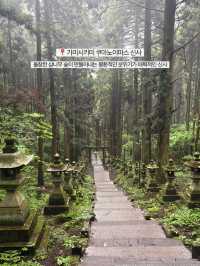 🚗 쿠마모토에서 렌터카 여행을 떠난 이유 🌿