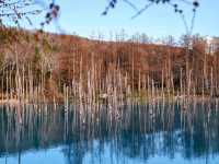 北海道旅遊全攻略｜四季奇景、美食溫泉、港都浪漫全收錄❄️🌸🍣