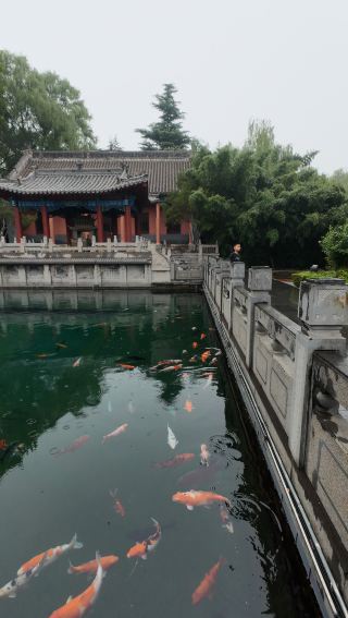 Mingshui Ancient City 🏮明水古城