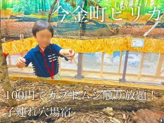 【道南/今金】カブトムシ触れ放題＆充実のキッズエリア！クアプラザピリカ正直滞在レポ