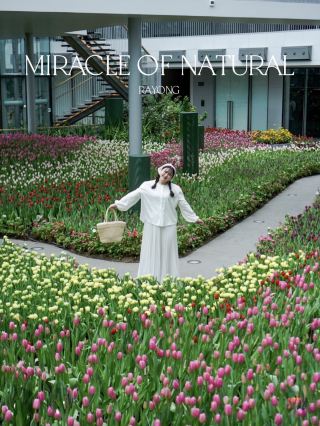 🌷 Miracle of Natural จุดเช็คอินห้ามพลาดของระยอง