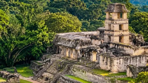 🌿 ปาเลงเก (Palenque) เม็กซิโก 🇲🇽 เมืองโบราณกลางป่ามายา — traveler post in ปาเลงเก