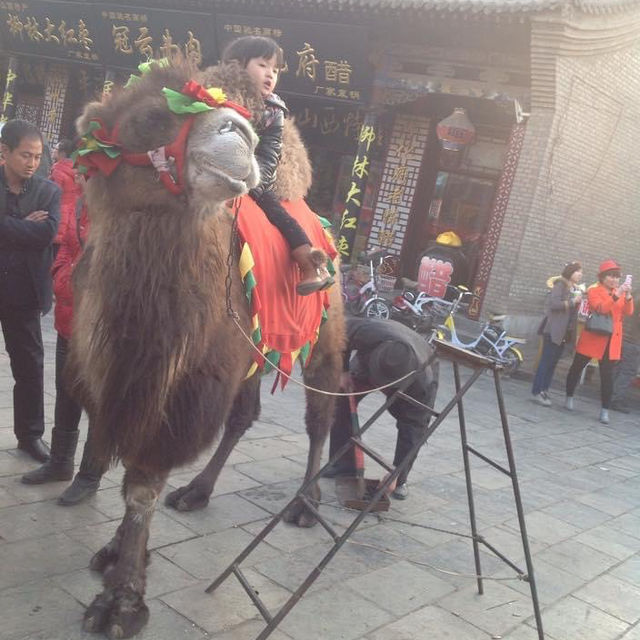 Pingyao Adventure