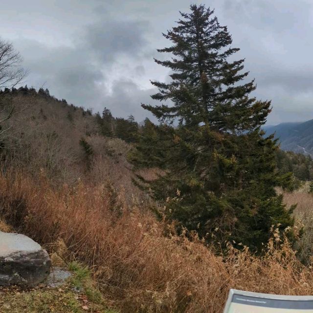Mountain Holiday