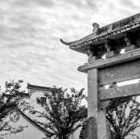 Lost in Longmen 