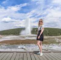 The Old Faithful @ Yellowstone National Park