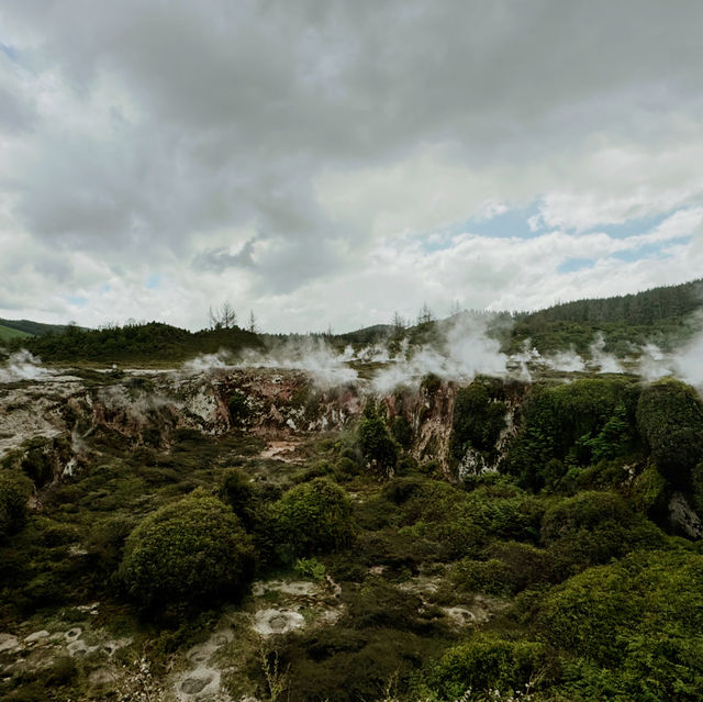 🚘🇳🇿🌄 10-Day Road Trip Through New Zealand’s North Island: An Unforgettable Adventure! 
