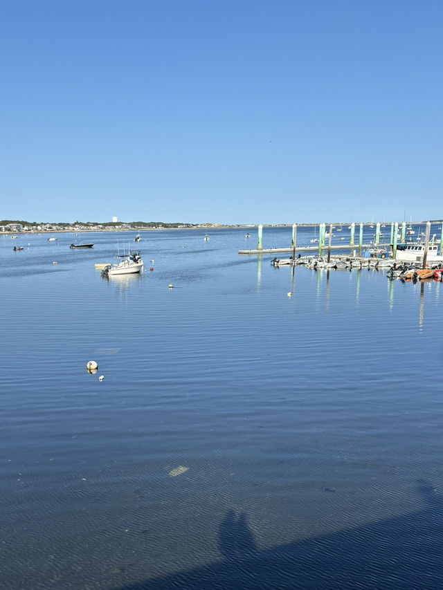 🇺🇸一眼心動的波士頓周邊小鎮Provincetown