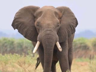 Majestic. Beauty. Stunning. South Africa at its finest