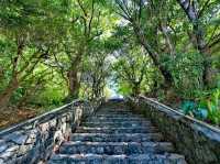 山原秧雞觀景台