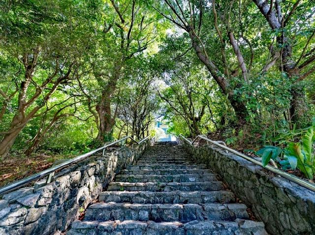 山原秧雞觀景台