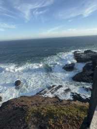 Phillip Island - The ultimate coastal escape 