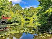 Royal Botanic Garden