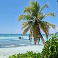 Saona Island 