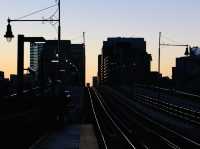 Discovering the Charms of the NYC