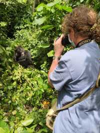 Gorillas Trekking in East Africa