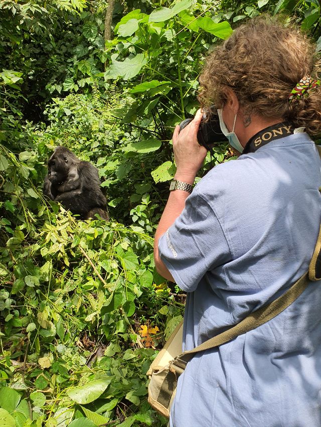 Gorillas Trekking in East Africa