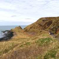 The Giant's Causeway 🪨