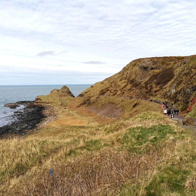 The Giant's Causeway 🪨