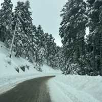 Parnassos Peaks & Powder: Where Greek Gods Ski!