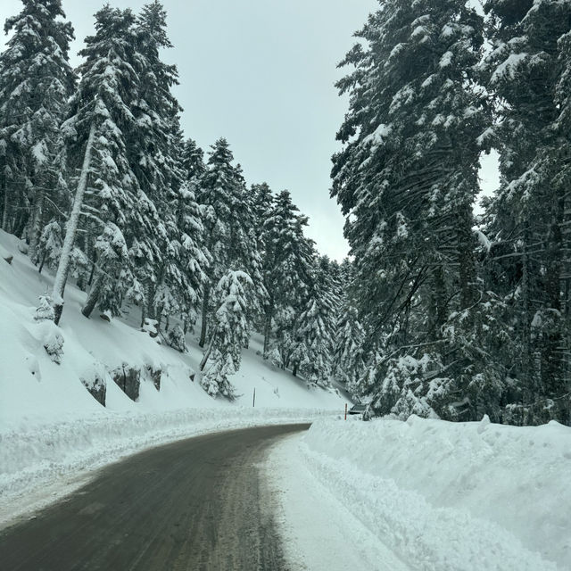 Parnassos Peaks & Powder: Where Greek Gods Ski!