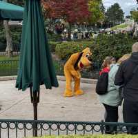 A Magical Experience at Disneyland Paris