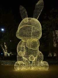 Bangkok by Night: Winter Illumination and Stunning Views