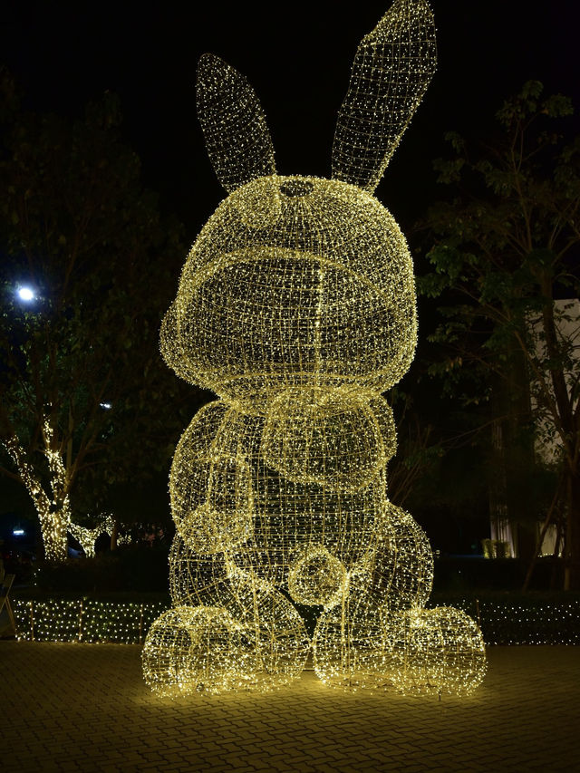 Bangkok by Night: Winter Illumination and Stunning Views