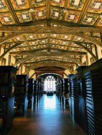 Step Into Oxford’s Oldest Library: Duke Humfrey’s Library! 📖