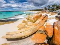  Discover Tasmania's Wilderness: The Hidden Gem of Australia!