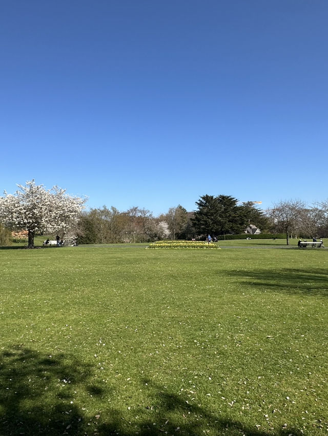 鳳凰公園遊記：漫步都柏林的綠色心臟