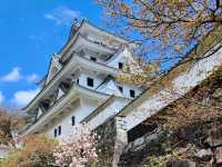 Gujo Hachiman: a charming little scenic town without crowds