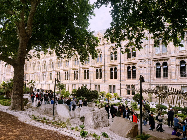 🦕🏛️ Free Museum Day Out at London’s Natural History Museum