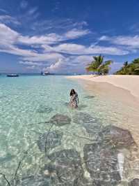 #maldives# pristine nature# diving#sandbank