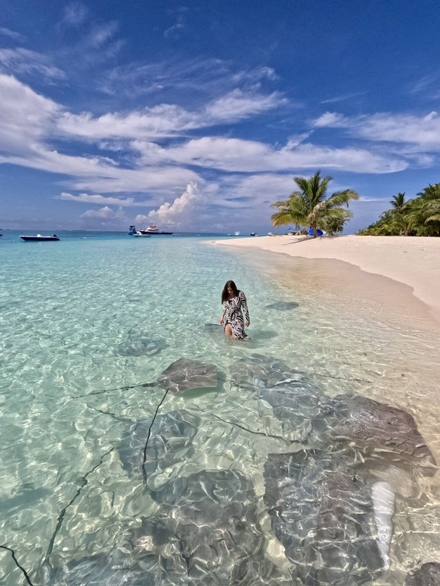 #maldives# pristine nature# diving#sandbank