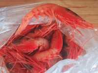 🐚 Porticello의 숨은 보석인 바르톨로의 해산물 테이크아웃도 가능한 곳 