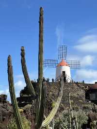 The Cactus Garden in Lanzarote: Volcanic Landscapes, Art, and a Restaurant With a View