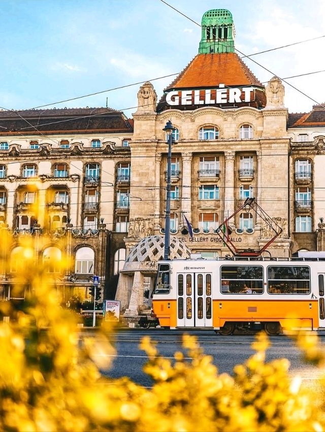 🌉👑 “Bridges, Baths & Baroque Dreams: A Royal Day in Budapest” 🇭🇺