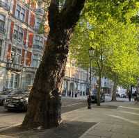 London City Walk: A Perfect Stroll Through History & Modern Buzz