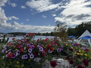 사본린나 편안하고 셀프서비스형 숙박 시설 ~ 사본린나 렌탈
