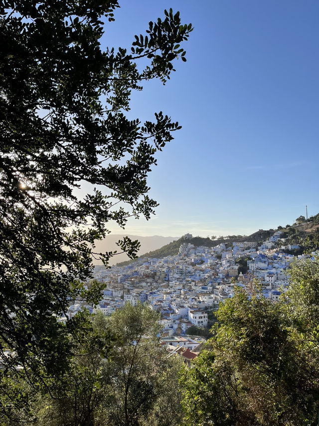 The Blue Pearl of Morocco