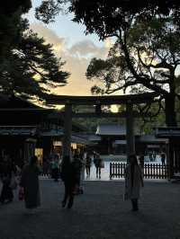 Tokyo and Kyoto: where pop culture, street food, and peaceful shrines collide