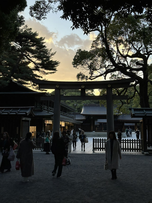 Tokyo and Kyoto: where pop culture, street food, and peaceful shrines collide